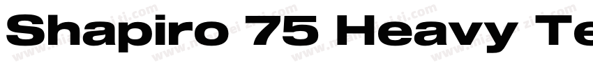 Shapiro 75 Heavy Tex字体转换
